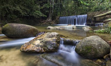Yeşil bahar ormanında şelalenin manzara manzarası
