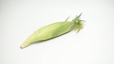 beyaz arka plan üzerinde yeşil yaprakları taze yeşil mısır