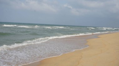 Sahil doğa manzaralı 