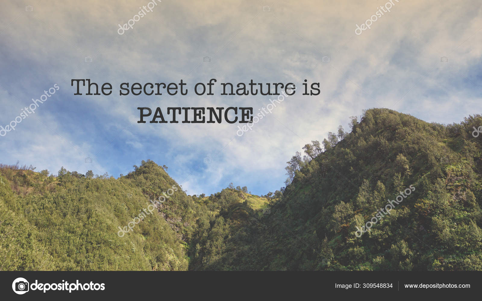 Motivational Inspirational Quotes Nature Background Stock Photo by ...