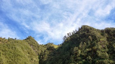 Doğa kompozisyonu ile güzel manzara