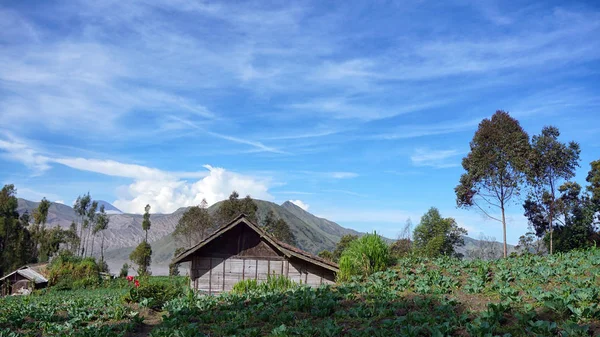 Vista Panoramica Del Villaggio Cemoro Lawang Durante Mattina Con Sfondo — Foto Stock