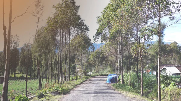 Bela Paisagem Rural Estrada Adequado Para Cartaz Uso Papel Parede — Fotografia de Stock