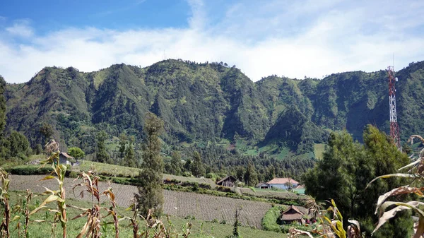 Prachtig Landschap Van Cemoro Lawang Dorp Tijdens Ochtend — Stockfoto