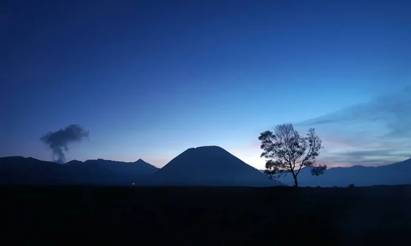 在低光照条件下 有山和蓝天背景的甜点中的孤树 复制空间 — 图库照片