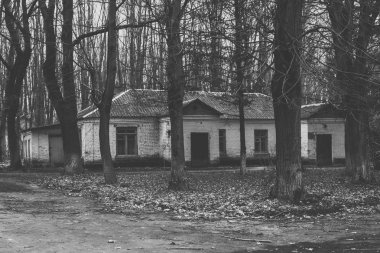 Ormandaki ağaçların arasında sökülen binalar