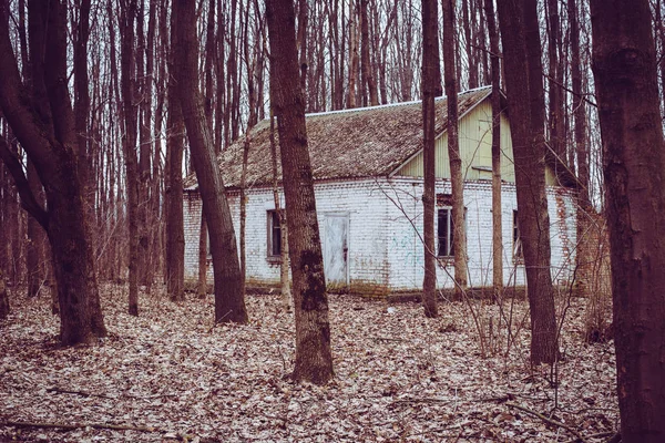 Bâtiments Démontés Parmi Les Arbres Dans Les Bois — Photo