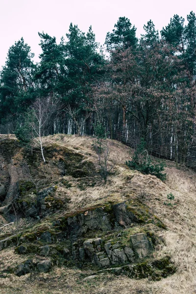 Buona Natura Vicino Una Centrale Idroelettrica Alberi Rocce Fiumi — Foto Stock