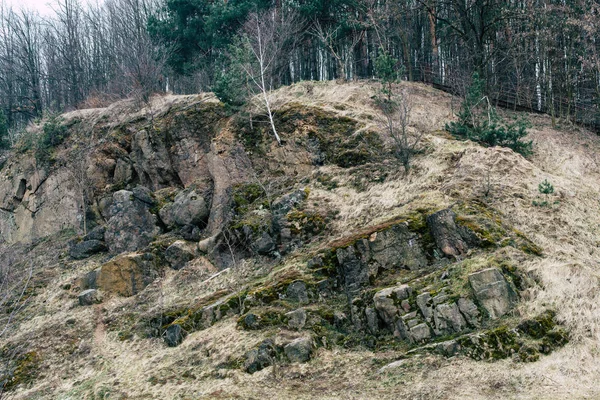 Buona Natura Vicino Una Centrale Idroelettrica Alberi Rocce Fiumi — Foto Stock