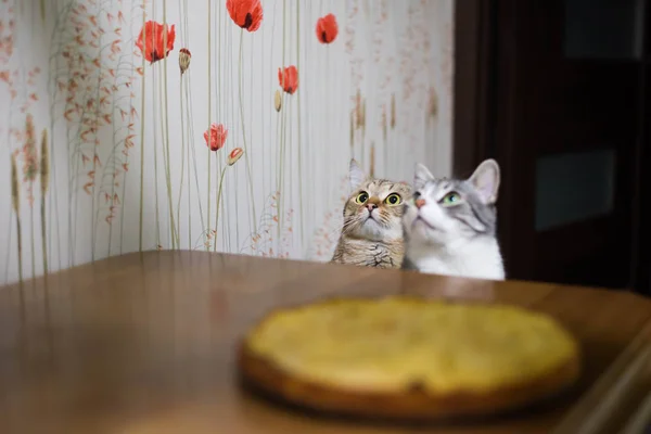 Apple Cake Wooden Table — Stock Photo, Image