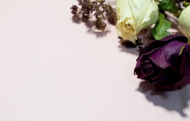 Pembe arka planda çiçekler ve güneş gözlüğü