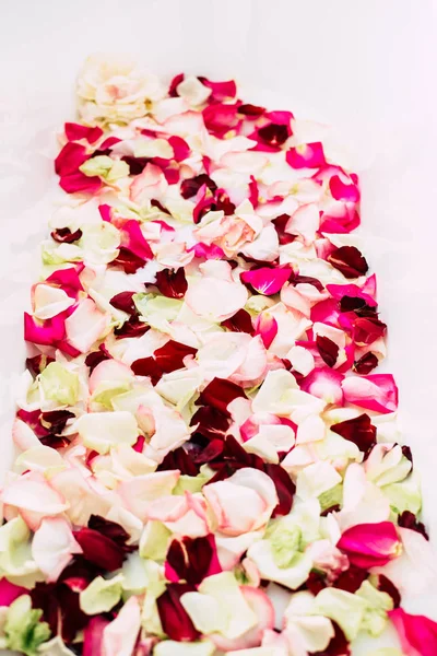 White classical bath with flowers and petals of roses