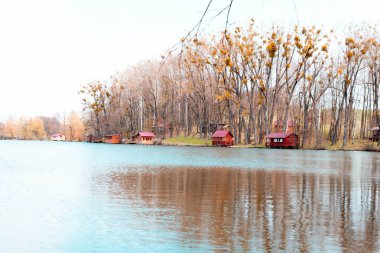 Ağaçlar ve evler ile Göl