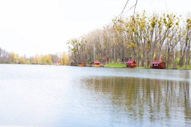 Ağaçlar ve evler ile Göl