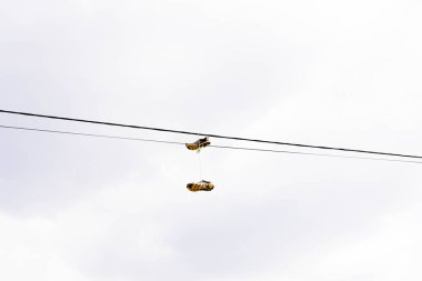 Ayakkabılar güç hattına asılır