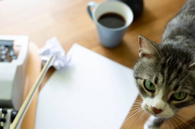 Masadaki daktilo ve kağıtlar