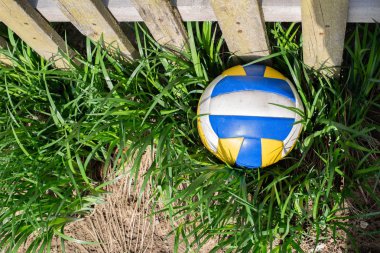 Çimenlerde voleybol topu. Güneşli bir gün