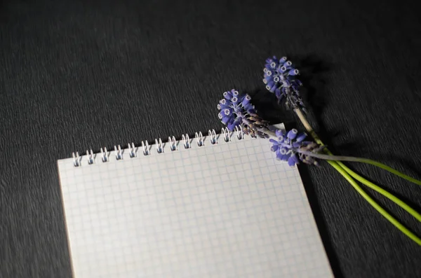 Notepad with flowers on black background