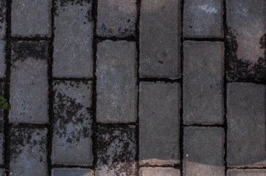 Yağmurdan sonra kaldırım. Arka plan