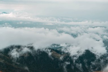 Karpat Dağları siste