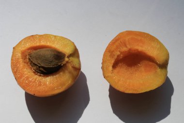 Beyaz arka planda dilimlenmiş kayısı.