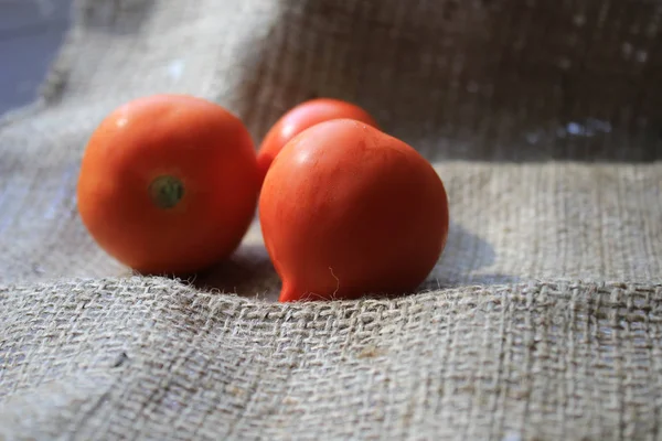 Tomates Pedaço Pano — Fotografia de Stock