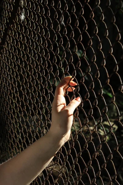 Weibliche Hand Auf Dem Zaun — Stockfoto