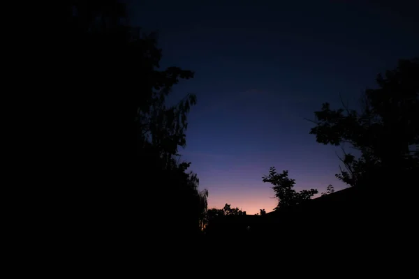 Silüeti Ağaçlar Gün Batımında — Stok fotoğraf