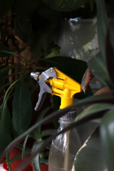 植物间的黄色水雾 — 图库照片