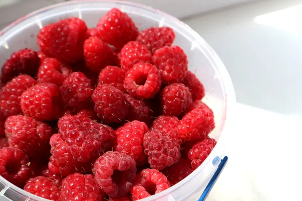 Raspberry Segar Dalam Ember — Stok Foto