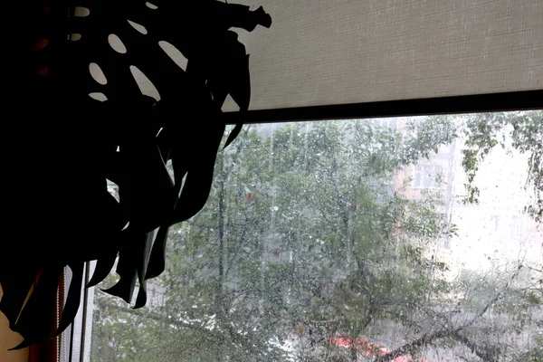 Summer downpour outside my window