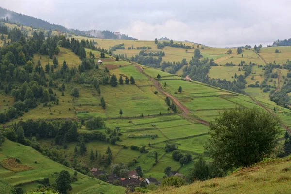 Letní zelené horské svahy v Karpatech — Stock fotografie