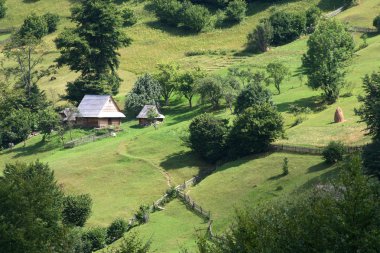 Karpat Dağları'ndaki eski ahşap ev, yaz