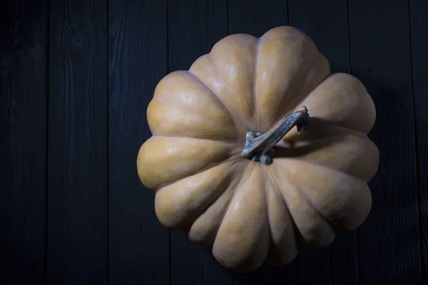 Une grosse citrouille orange sur fond bois vue d'en haut. Action de grâce et citrouille d'Halloween — Photo