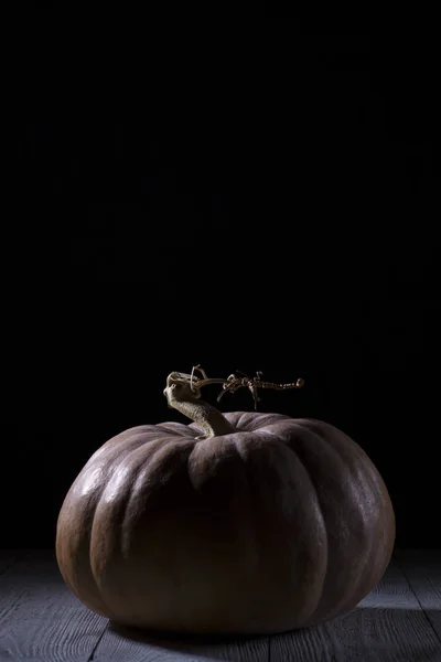 Citrouille sur une table en bois fond noir vue de côté. Halloween fond avec citrouille — Photo