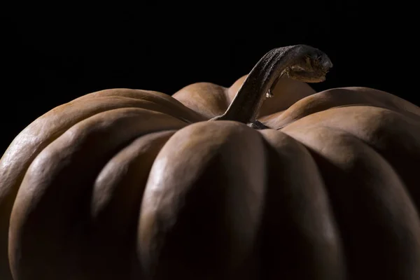 Autumn pumpkin on a black background close-up — Stock Photo, Image