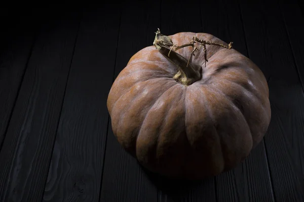 Citrouille sur une table en bois noir vue de dessus. Halloween fond avec citrouille — Photo