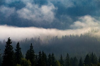 Dağ yamacı sabah sisi ile kaplanmış..