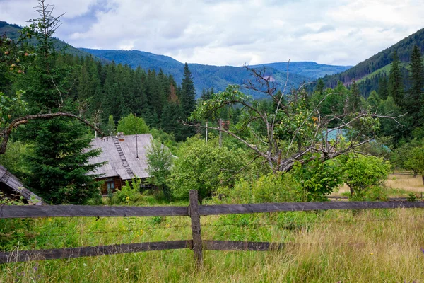 Apple Tree Grows Village Backdrop Mountains Forests — Stock Photo, Image