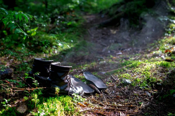 Hiking boots are drying in the sun in the forest.