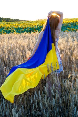 Ukrayna bayrağıyla buğday tarlasında.