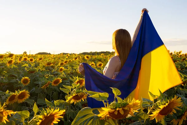 Chica Con Bandera Ucrania Campo Entre Girasoles Imágenes de stock libres de derechos