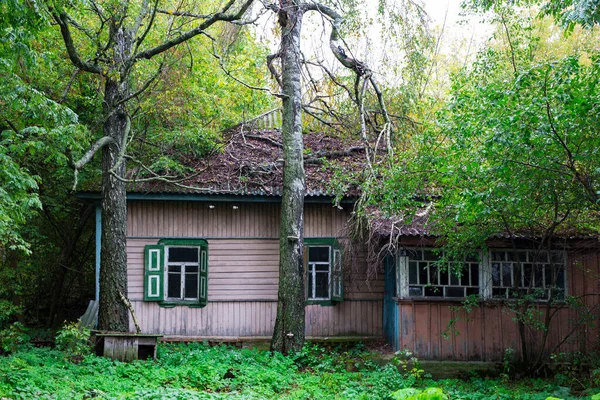 Old Abandoned Wooden House Thickets Tall Trees Village — Stock Photo, Image