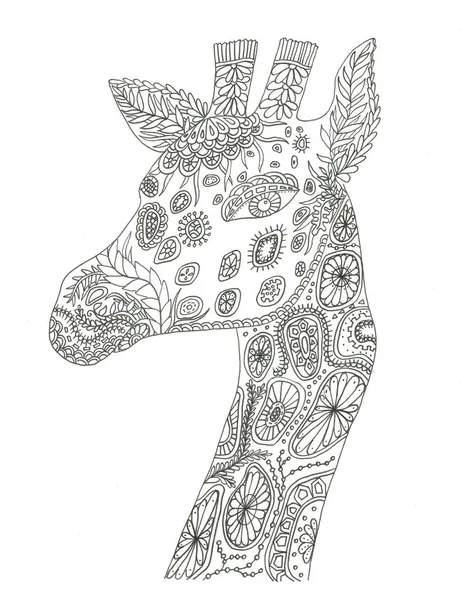 Zebra Ink Illustration Black White — 스톡 사진