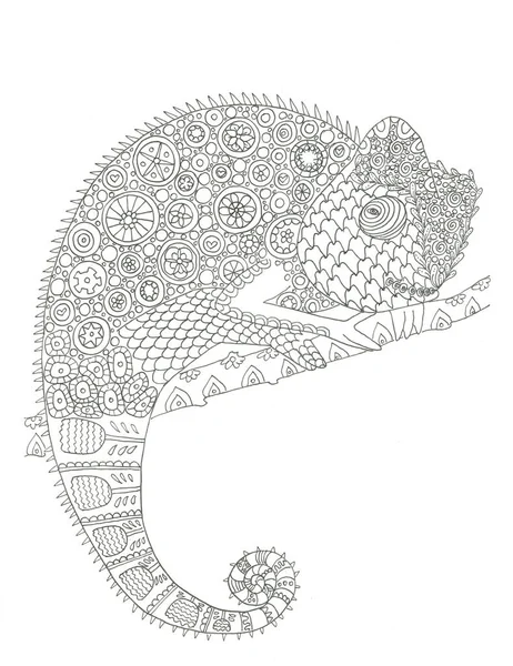 Coloriage Caméléon Encre Dessinée Main Illustration Animale — Photo