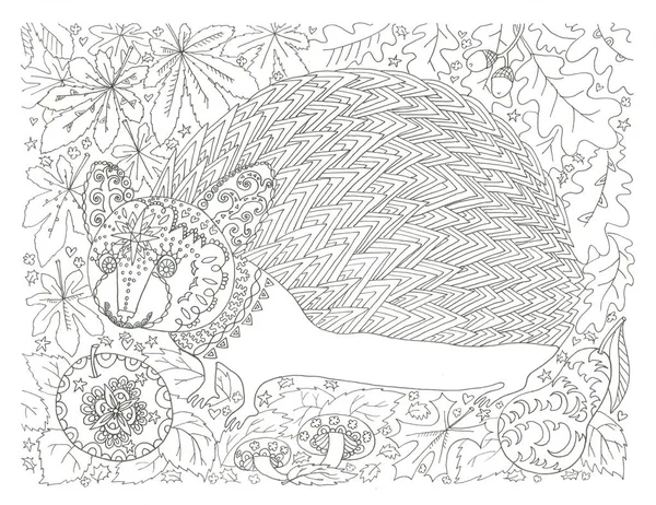 Hedgehog coloring page ink art hand drawn illustration
