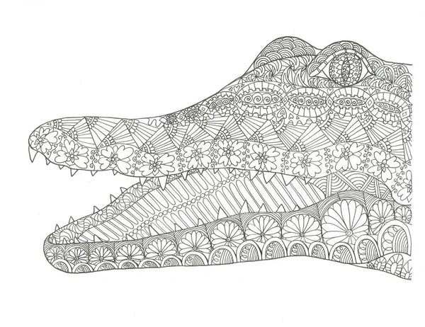 Crocodile Colorazione Pagina Inchiostro Arte Disegnato Mano Illustrazione — Foto Stock