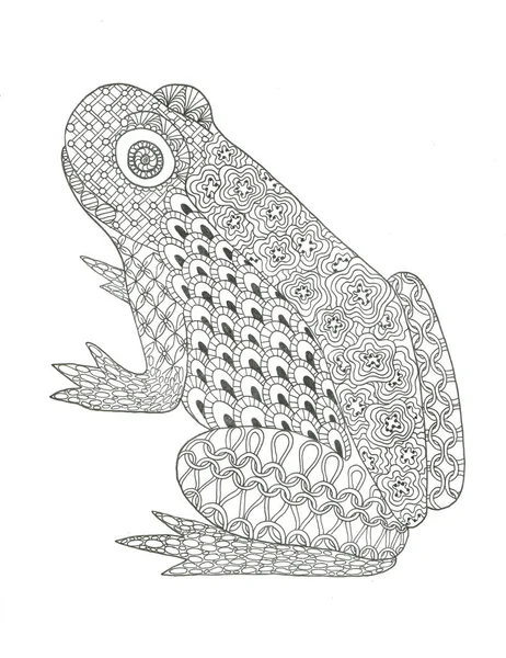 Frosch Malvorlage Handgezeichnete Tinte Animal Illustration — Stockfoto
