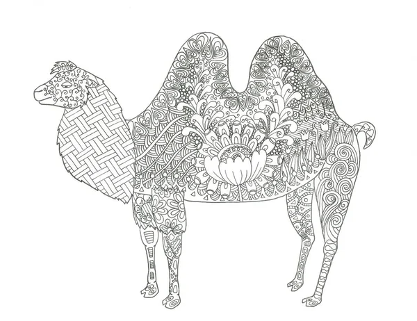 Kamel Färgning Sida Handritade Bläck Djur Illustration — Stockfoto