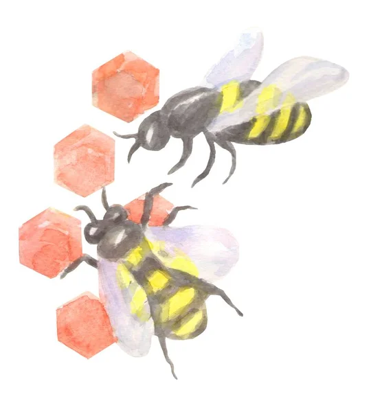 Aquarel Bee Hand Getrokken Illustratie Kwekerij Kunst — Stockfoto